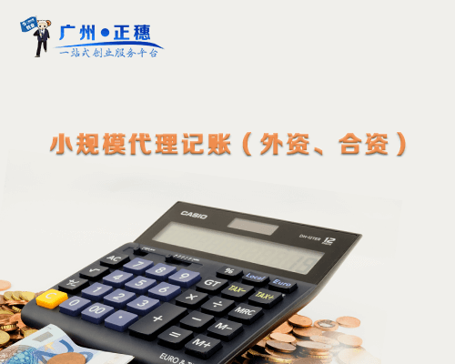 小規模代理記賬（外資、合資）