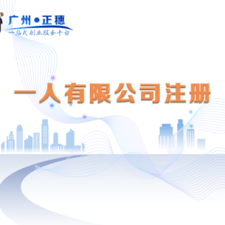 一人有限公司注冊