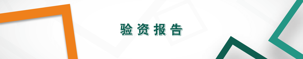 驗資報告 驗資報告