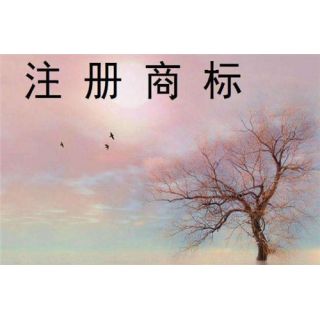 廣州商標注冊了還能被撤銷 這些問題你一定要重視