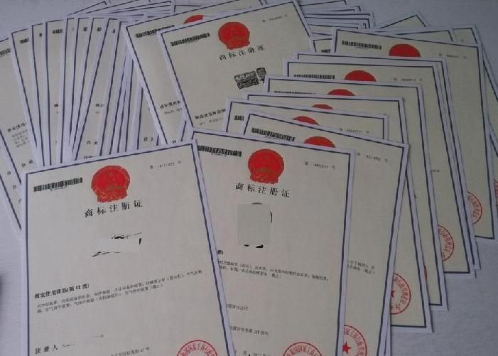 商標(biāo)申請(qǐng)后多久可以查詢到 商標(biāo)申請(qǐng)后多久可以查詢到