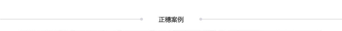 正穗案例